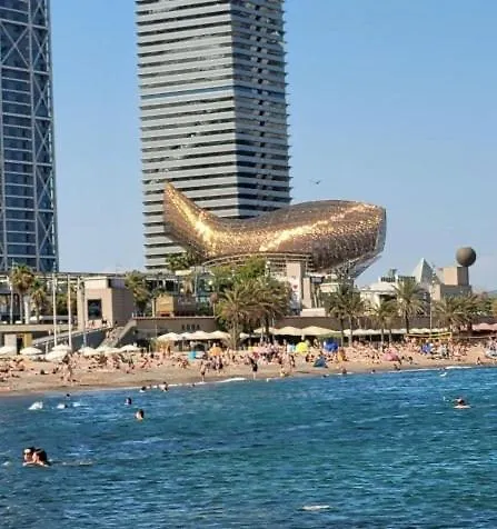 Sunflower Apartment Barcelona Spain